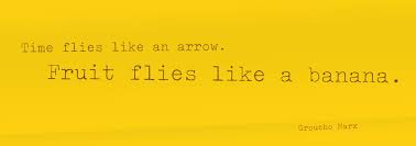 Time Flies Like An Arrow Fruit Flies Like A Banana Pun Groucho Marx Groucho Favorite Quotes Groucho Marx