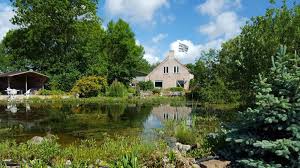 Oranienburg is 28.6 miles from the holiday home, while wandlitz is 19.9 miles away. Die Besten 11 Hauser Im Grunen In Zeeland Vakantiezeeland Com