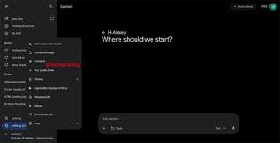 Google 出招搶客Gemini 匯入其他AI 記憶？ Nano Banana 一功能再 ...