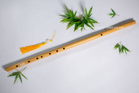 [Image: images?q=tbn:ANd9GcSp-xxbVbrGiNKDrxn284J...NTD6Kc6g&s]