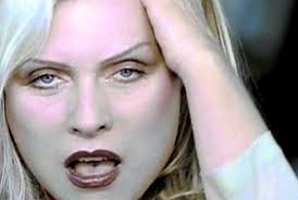 What do you think of the song Were Better in 2015?