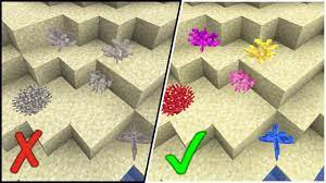 We did not find results for: Minecraft 1 13 How To Keep Corals Alive Out Of Water And Fans Tutorial Youtube