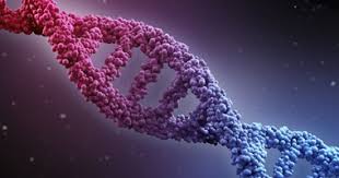 اسماء مختبرات تجري تحليل Dna في السعودية المرسال