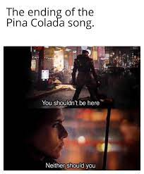 If You Like Pina Coladas Memes