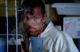 The Cast Of PRISON BREAK: Where Are They Now?