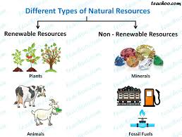 Types Of Natural Resources With Examples Teachoo Concepts