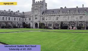 Merit 2f insecticide is for use on ornamentals in commercial and residential landscapes and interior plantscapes. International Student Merit Based Scholarship Oya Opportunities Oya Opportunities