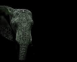 Elephant backgrounds hd for desktop. 1080p Wallpaper Elephant Minimal Peepsburgh