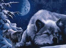 We did not find results for: Einsamer Wolf Home Facebook
