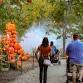 Sensory-Friendly Nights at Jack-O-Lantern Spectacular