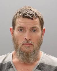 Kidnapped, gullivers travels,Hans brinker,Robinson crusoe