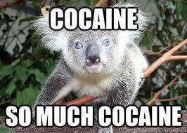 Pin On My Strange Addiction Koalas