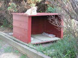 Pet Diy Shelter Feeding Station Cats Cat Feeding Station Outdoor Cat Shelter Cat Shelter