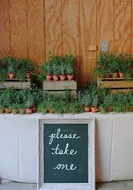 95 Wedding Favors Your Guests Will Actually Use Plant Wedding Favors Herb Wedding Wedding Favors