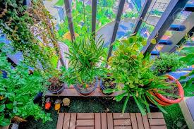 Y lo cierto es que hay muchas más de las que cabría esperar, e incluso hay algunas que si bien no son colgantes, se pueden utilizar como tales, por lo que no te será difícil encontrar aquella que. Plantas Naturales En Las Macetas Colgantes En El Balcon Del Jardin Fotos Retratos Imagenes Y Fotografia De Archivo Libres De Derecho Image 87726436