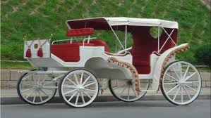 Victoria Horse Carriage at ₹ 175000 ...