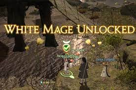 White mage is the original healing class of final fantasy 14,. Ffxiv A White Mage Walks Into A Bar Nomadic Gamers