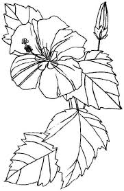 They can make the surrounding scenery become more beautiful and… Free Printable Hibiscus Coloring Pages For Kids