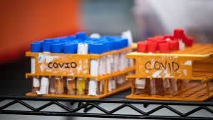 Types of testing • how can i get tested? Peel Public Health Apologizes After Sending Wrong Covid 19 Test Results Cp24 Com