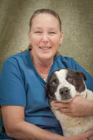 Maybe you would like to learn more about one of these? Spa And Salon Davis Animal Hospital Veterinarian Pensacola