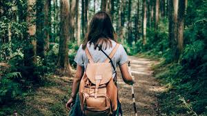 The focus here is on the image and natural surroundings. Ecotherapy Types Benefits And Diy Tips