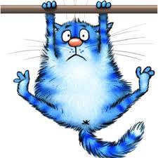 pin von abr auf sinij kot in 2020 illustration katze katze malen niedliche zeichnungen