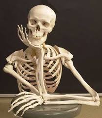 Resultado de imagem para fraturas radiologia