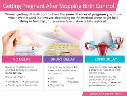 Chances Of Getting Pregnant After Getting Off Birth Control Shecares