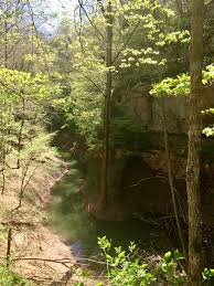 cedar sink trail 1.9 miles in