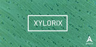 A prime example of an exploitable stock photograph, the image has spawned a series of photoshopped parodies featuring an. Xylorix Automated Wood Identification System