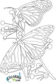 coloriage fleurs et papillons a imprimer en 2021 papillon fleur pusheen dans les pages