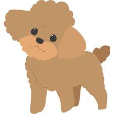 This video is intended for children and parents who want to teach their kids.for watching how to. 1 289 Toy Poodle Stock Illustrations Cliparts And Royalty Free Toy Poodle Vectors