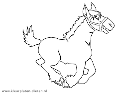 Kleurplaat paard met veulen mooi totoro kleurplaten kids word. Paard Kleurplaten Dierenkleurplaten Dieren
