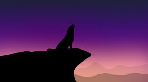 Download any/all unsplash images for free. Wolf Howling Minimalist Wallpapers Wallpaper Cave