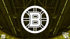 See more ideas about boston bruins wallpaper, boston bruins, bruins. Boston Bruins Logo Desktop Backgrounds Pixelstalk Net