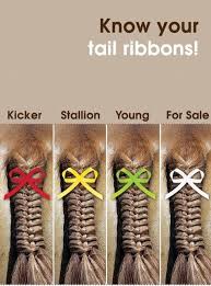 Pin On Ideas Hacks Wtf Fun Facts