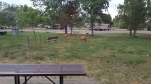 Colorado parks and wildlife is a nationally recognized leader in conservation, outdoor recreation and wildlife management. Cottonwood Grove Camping Loop Cherry Creek State Park Cottonwood Grove Loop Aurora Co 80015 Usa