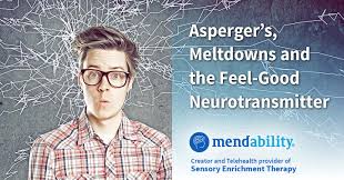 Asperger syndrome was not a formal diagnosis until 1994. Asperger S Meltdowns And The Feel Good Neurotransmitter