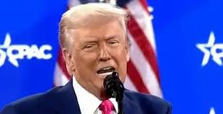 I Can't Stop Thinking About That Way-Too-Accurate White Lotus Trump Scene