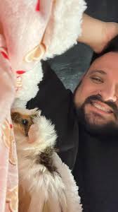 Dog earns virtual home manners title