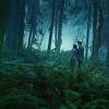The twilight forest is a vast forest where it's always dusk, but never fully day or night. 1