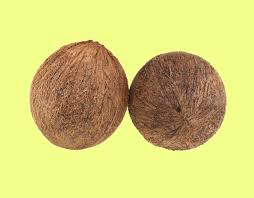 Mix a cup of freshly squeezed aloe vera gel to your regular wax. What Do Nipple Hairs Mean A Gp Answers All Your Nipple Hair Questions