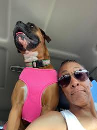 Sierra and Gracie light up hearts like fireworks 🥰 Have a safe and happy  Fourth of July!