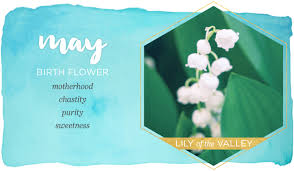 Check spelling or type a new query. Birth Month Flowers And Their Meanings