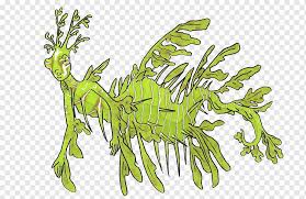 Mermaid Drawing Syngnathidae Seahorse Leafy Seadragon Common Seadragon Artist Animal Plant Syngnathidae Seahorse Leafy Seadragon Png Pngwing Divers and swimmers who have seen this special creature are often so moved by its delicate grace that they are inspired to get all of the leafy looking parts are the seahorse's fins; mermaid drawing syngnathidae seahorse
