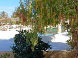 OTEL MENZEL CAJA AGHĪR 3* (Tunus)