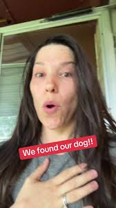 Finding Our Dog During a Storm: Chug's Safe Return