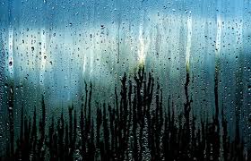Millions of people use rainy mood while sleeping, studying, and relaxing. The End Of The Rain As We Know It Pacific Standard