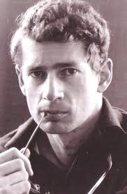 An Introduction to the Sestigers