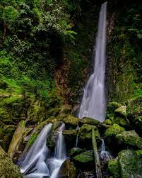 Air Terjun Tombak Pangaribuan